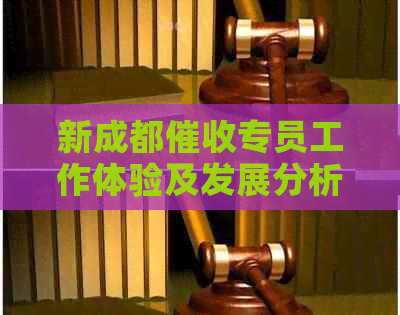 新成都专员工作体验及发展分析