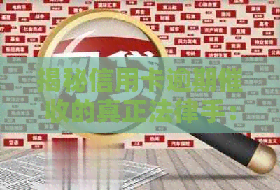 揭秘信用卡逾期的真正法律手：专用章的作用与影响