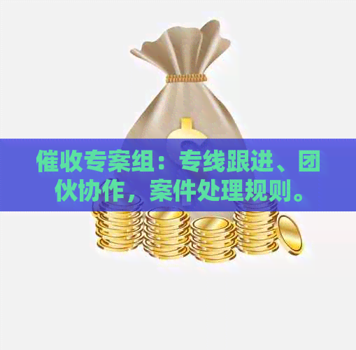 专案组：专线跟进、团伙协作，案件处理规则。