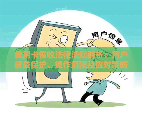 信用卡法律法规解析：用户权益保护、操作流程及应对策略全方位指南