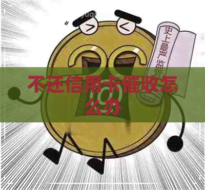 不还信用卡怎么办