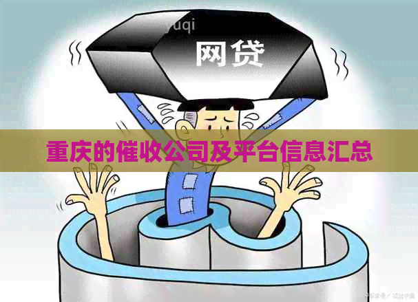 重庆的公司及平台信息汇总