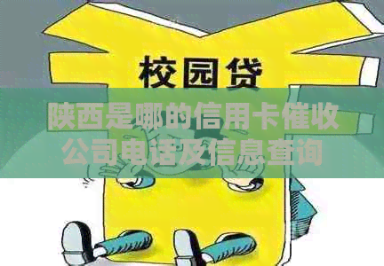 陕西是哪的信用卡公司电话及信息查询