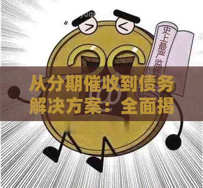 从分期到债务解决方案：全面揭示债务处理和还款计划的实用技巧