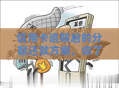 信用卡逾期后的分期还款方案，你了解吗？