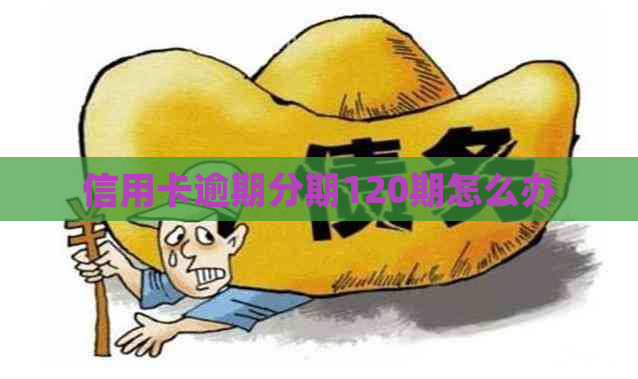 信用卡逾期分期120期怎么办