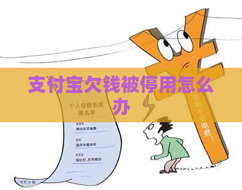 支付宝欠钱被停用怎么办