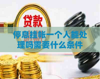 停息挂帐一个人能处理吗需要什么条件