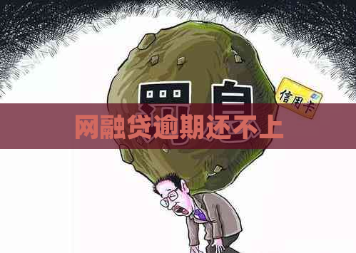 网融贷逾期还不上