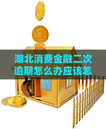 湖北消费金融二次逾期怎么办应该怎样处理