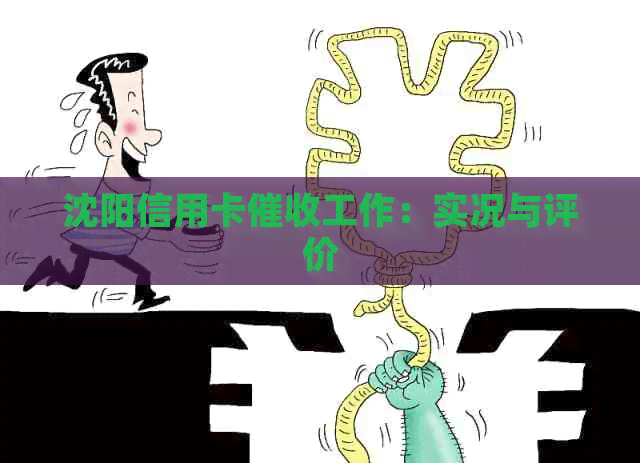 沈阳信用卡工作：实况与评价