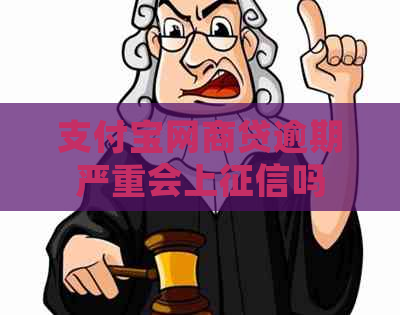 支付宝网商贷逾期严重会上吗