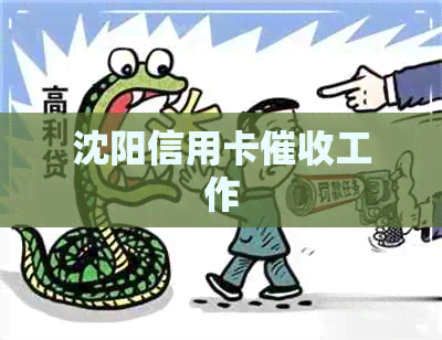 沈阳信用卡工作