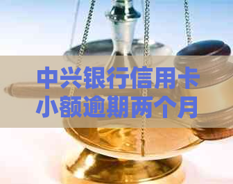 中兴银行信用卡小额逾期两个月如何处理