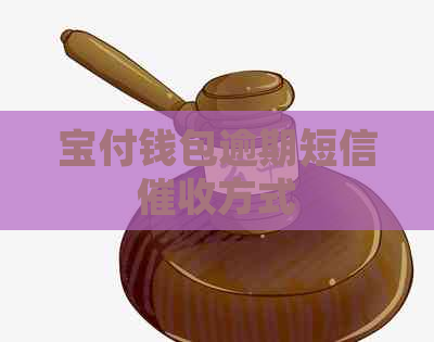 宝付钱包逾期短信方式