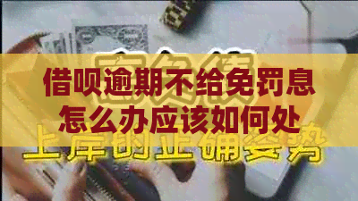 网贷逾期不给免罚息怎么办应该如何处理