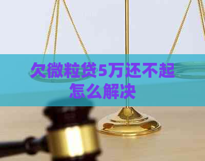 欠微粒贷5万还不起怎么解决