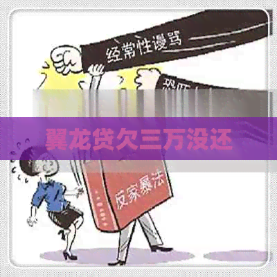 翼龙贷欠三万没还