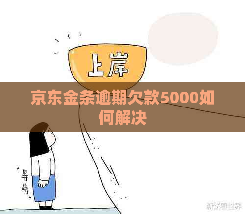 京东金条逾期欠款5000如何解决