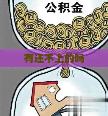 有还不上的吗