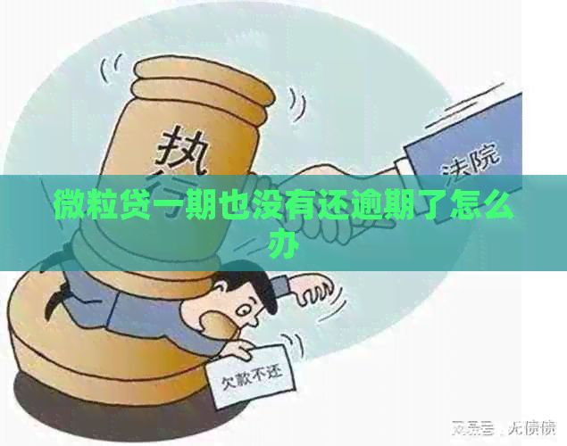 微粒贷一期也没有还逾期了怎么办