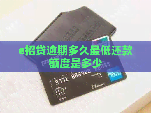 e招贷逾期多久更低还款额度是多少