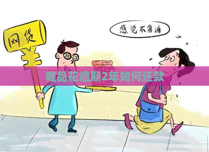 唯品花逾期2年如何还款