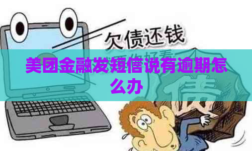 美团金融发短信说有逾期怎么办