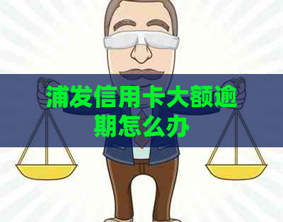 浦发信用卡大额逾期怎么办