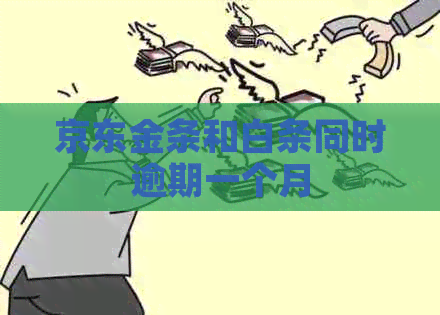 京东金条和白条同时逾期一个月