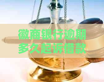 徽商银行逾期多久起诉借款人