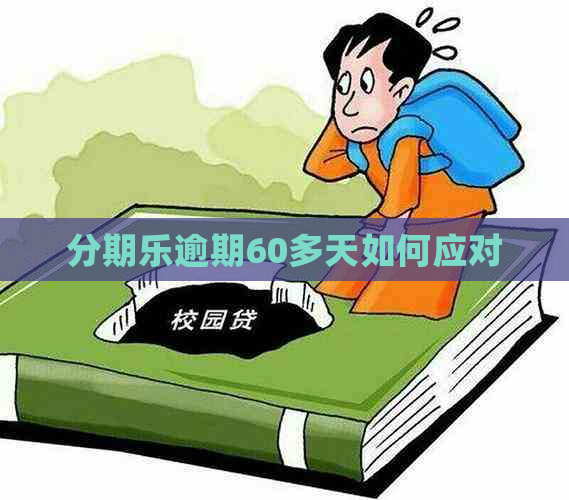 逾期60多天如何应对