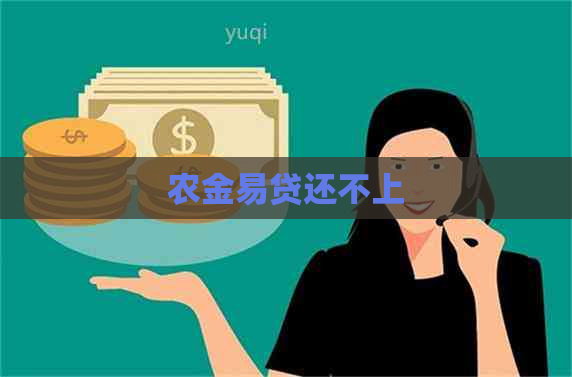 农金易贷还不上