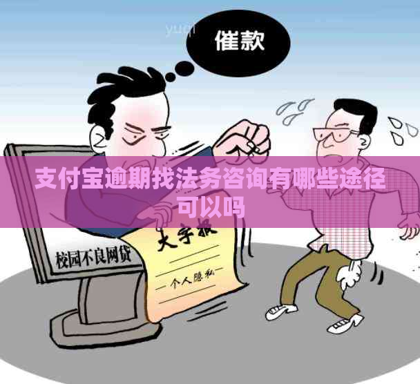 支付宝逾期找法务咨询有哪些途径可以吗