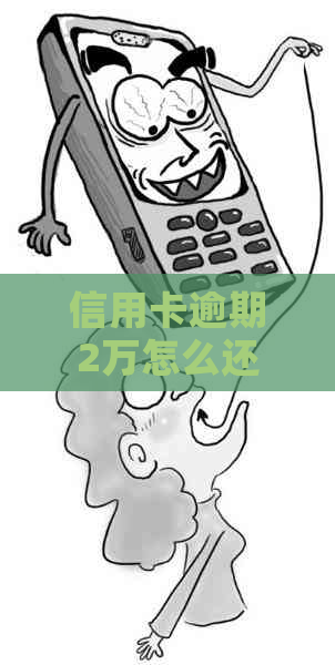 信用卡逾期2万怎么还