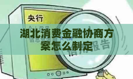 湖北消费金融协商方案怎么制定