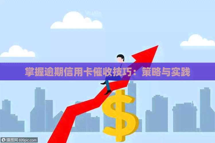 掌握逾期信用卡技巧：策略与实践