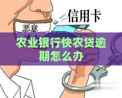 农业银行快农贷逾期怎么办