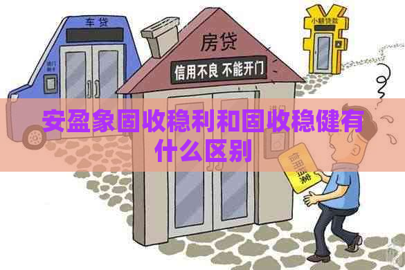 安盈象固收稳利和固收稳健有什么区别