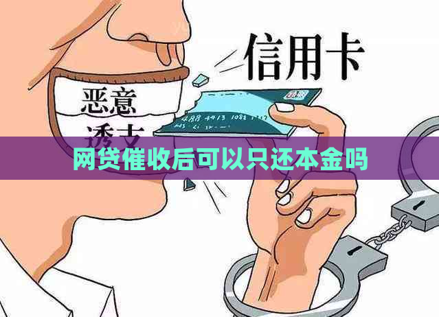 网贷后可以只还本金吗