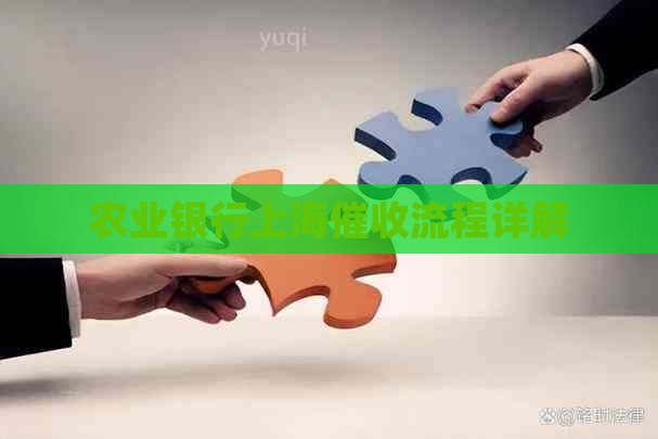 农业银行上海流程详解