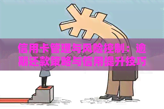 信用卡管理与风险控制：逾期还款策略与信用提升技巧