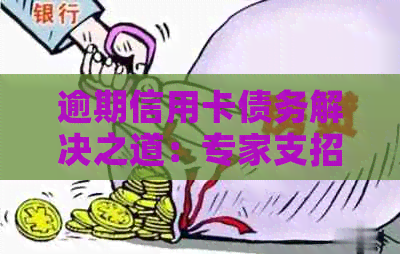 逾期信用卡债务解决之道：专家支招策略与应对方法