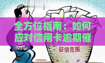 全方位指南：如何应对信用卡逾期电话，解决用户搜索的相关问题