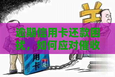 逾期信用卡还款困扰，如何应对行动？