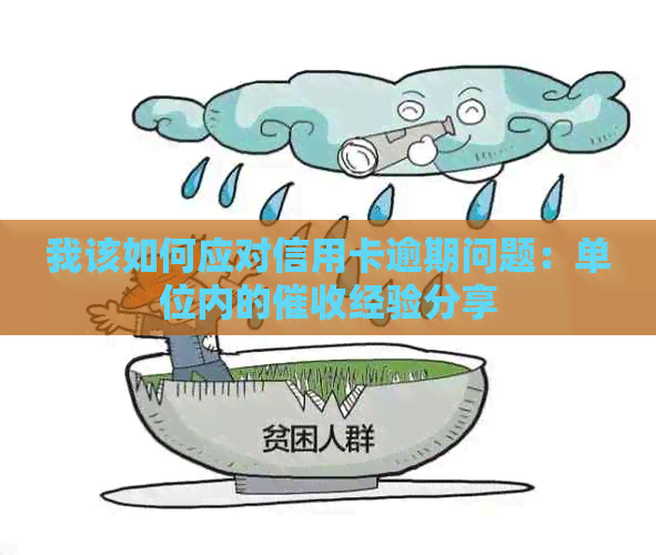 我该如何应对信用卡逾期问题：单位内的经验分享