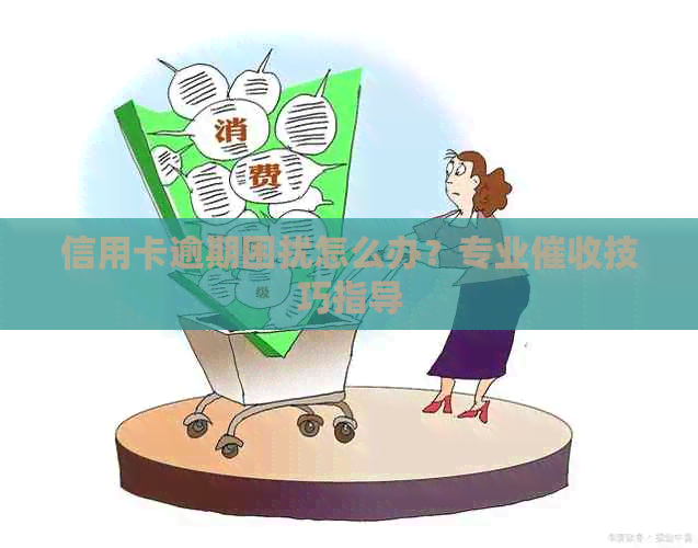 信用卡逾期困扰怎么办？专业技巧指导