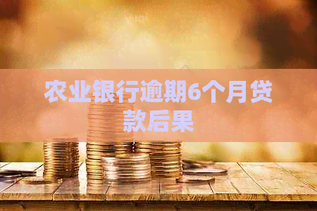 农业银行逾期6个月贷款后果