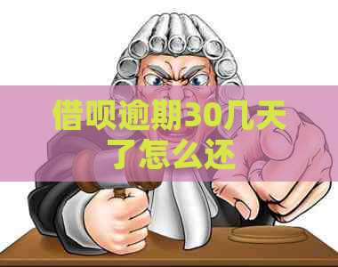 借呗逾期30几天了怎么还