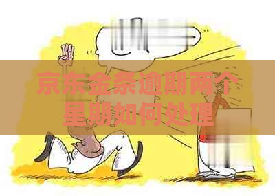 京东金条逾期两个星期如何处理